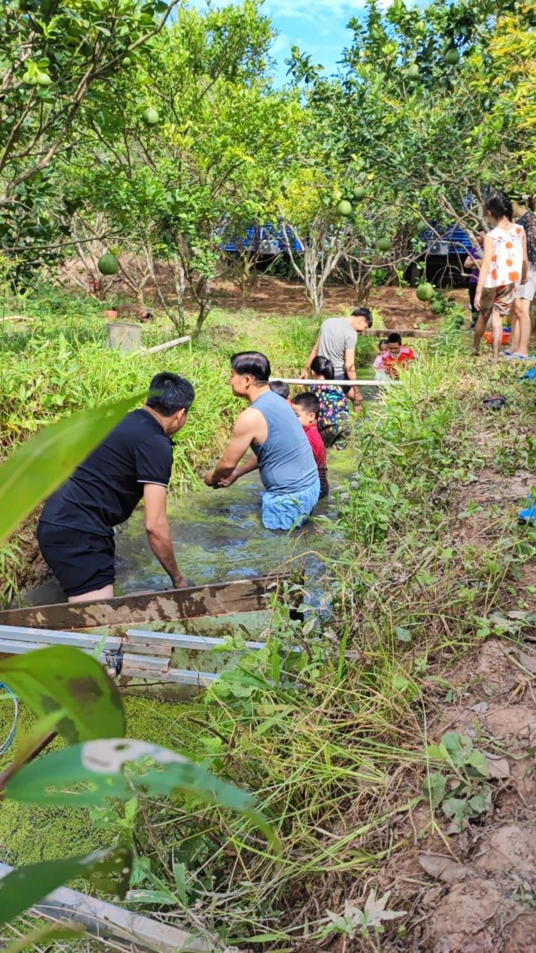 Con Phung Resort Mekong - Nature Escape With Free Boat Shuttle & Fishing Ben Tre Exteriér fotografie